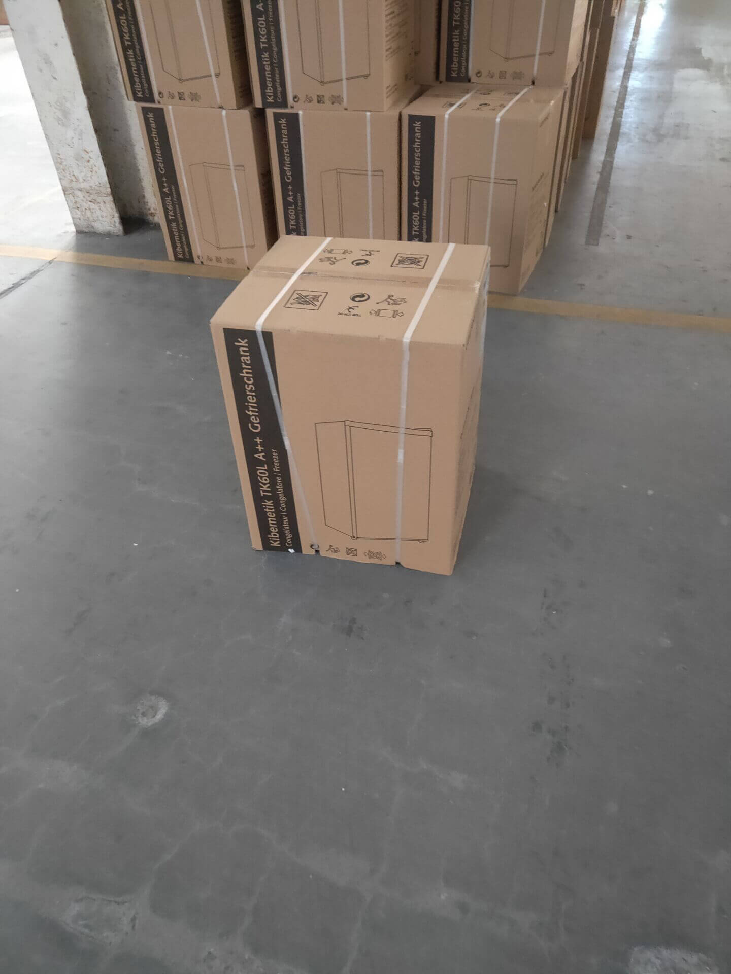 Smeta upright freezer TSD-60D6 _Packaging of bulk photos