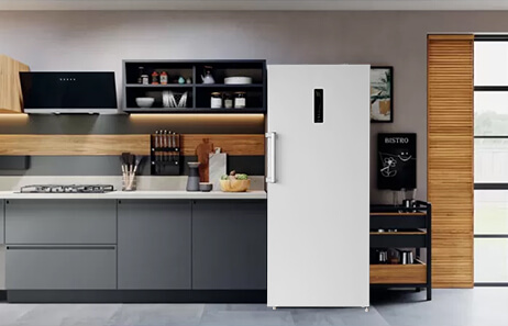 Large Capacity for Home & Small Business |Smeta standup freezer TSD-326WL
