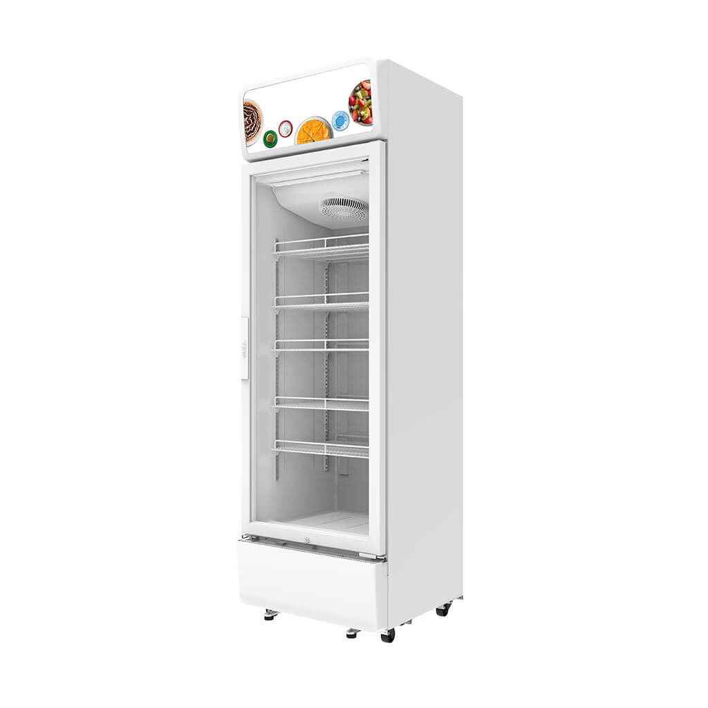 460L Display Refrigerator – Commercial Fridge with Single Glass Door
