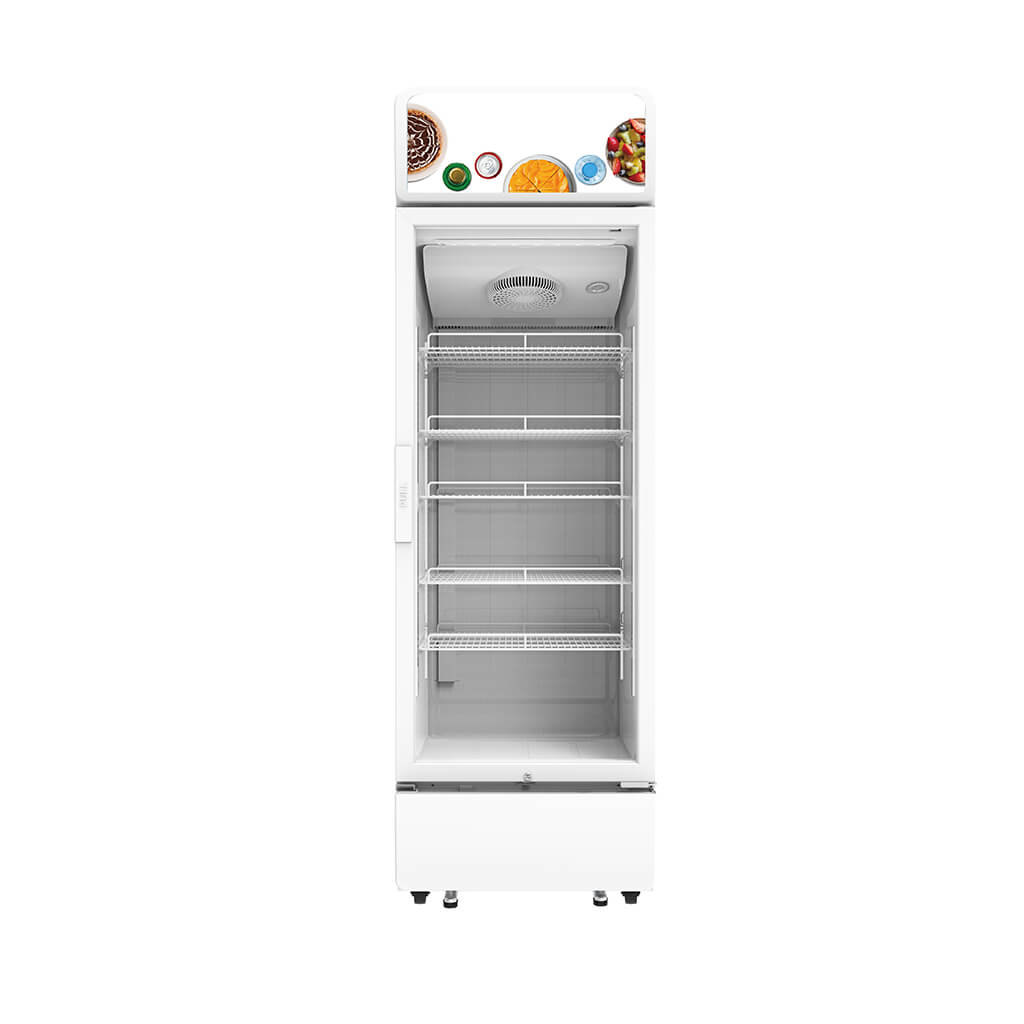 460L Display Refrigerator – Commercial Fridge with Single Glass Door