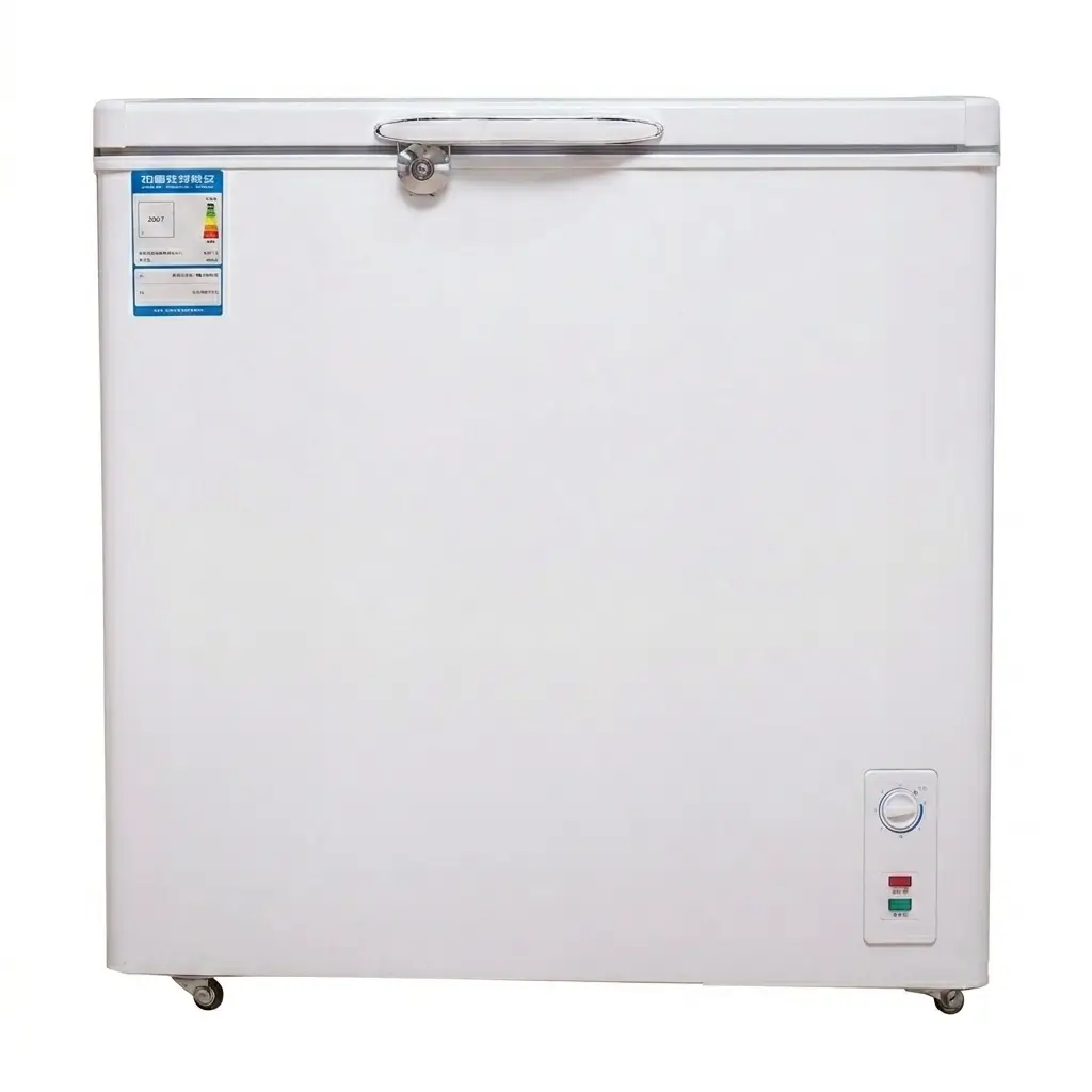 98L–248L Horizontal Chest Freezer– R600a Cooling, Lockable Lid, Commercial Grade Storage Solution