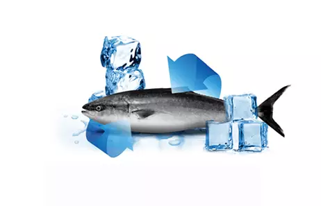 Smeta fridge - FASTER COOLING