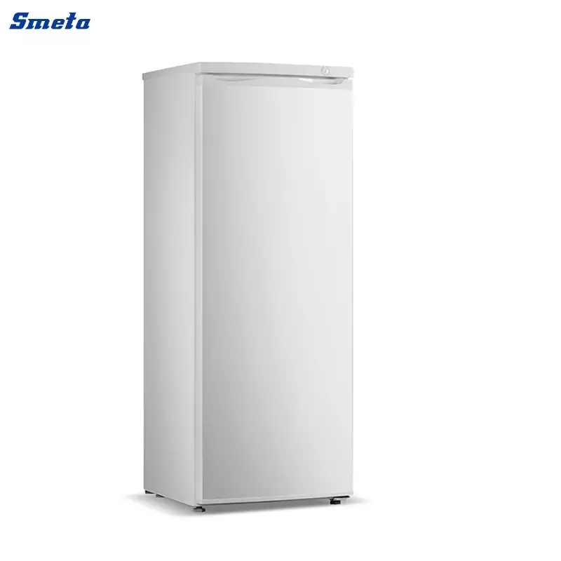 216L 1 Door Reach In Standing Freezer