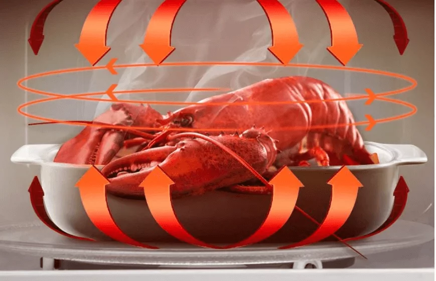 high efficiency power | Smeta Microwave Oven